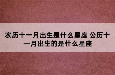 农历十一月出生是什么星座 公历十一月出生的是什么星座
